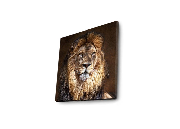 Wallity Cuadro Decorativo en Lienzo Iluminado con LED 40x40 cm